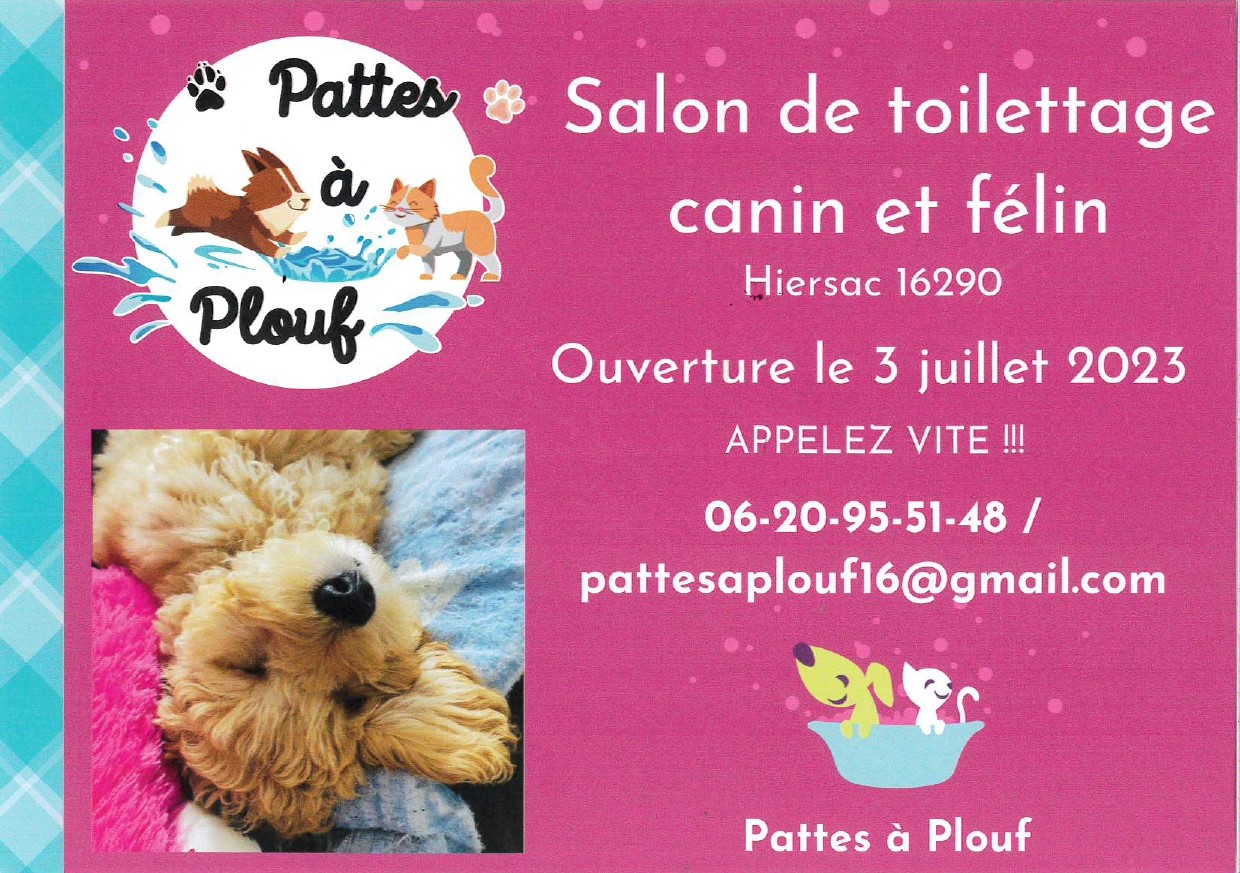  PATTES A PLOUF Salon de toilettage canin 