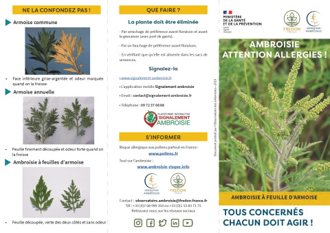 ATTENTION AMBROISIE